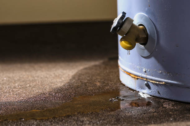 Best Basement water damage restoration  in Polson, MT