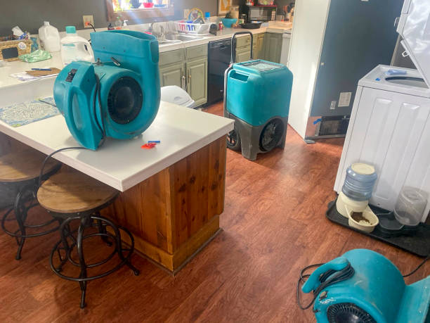  Polson, MT Water damage restoration Pros