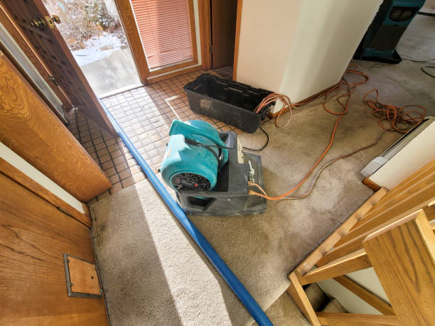 Best 24-hour water damage restoration  in Polson, MT