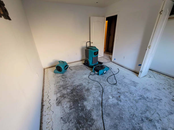 Best Commercial water damage restoration  in Polson, MT