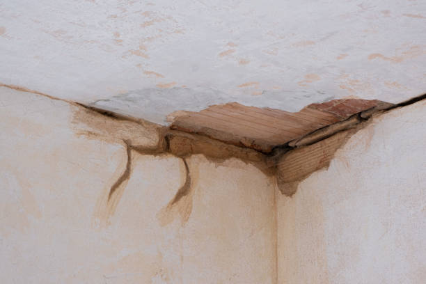 Best Ceiling water damage repair  in Polson, MT
