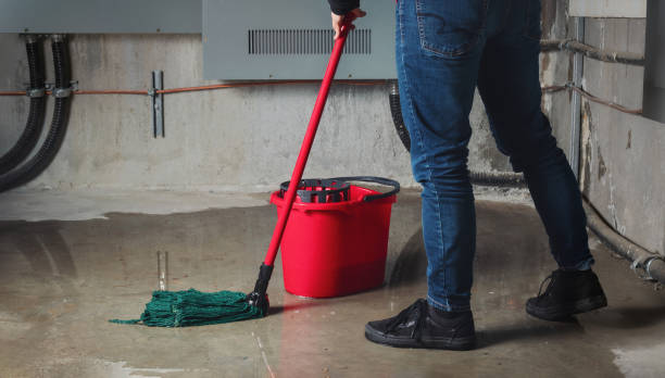 Best Flood damage cleanup  in Polson, MT