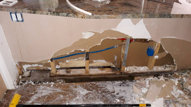 Best Water damage contractors near me  in Polson, MT