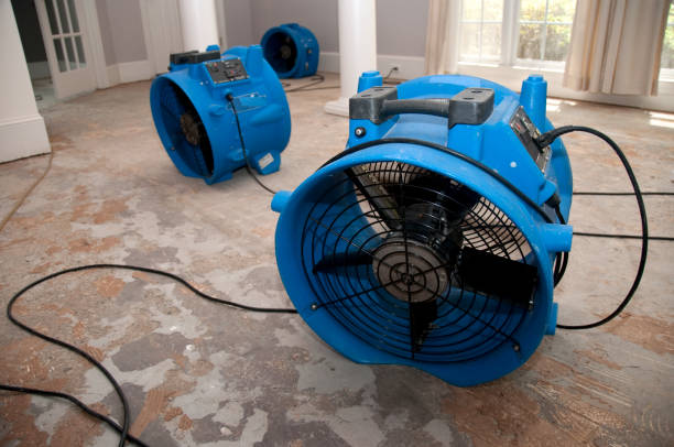 Best Water damage cleanup near me  in Polson, MT